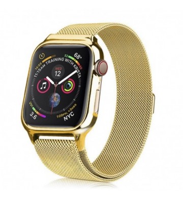 Correa milanesa con carcasa...